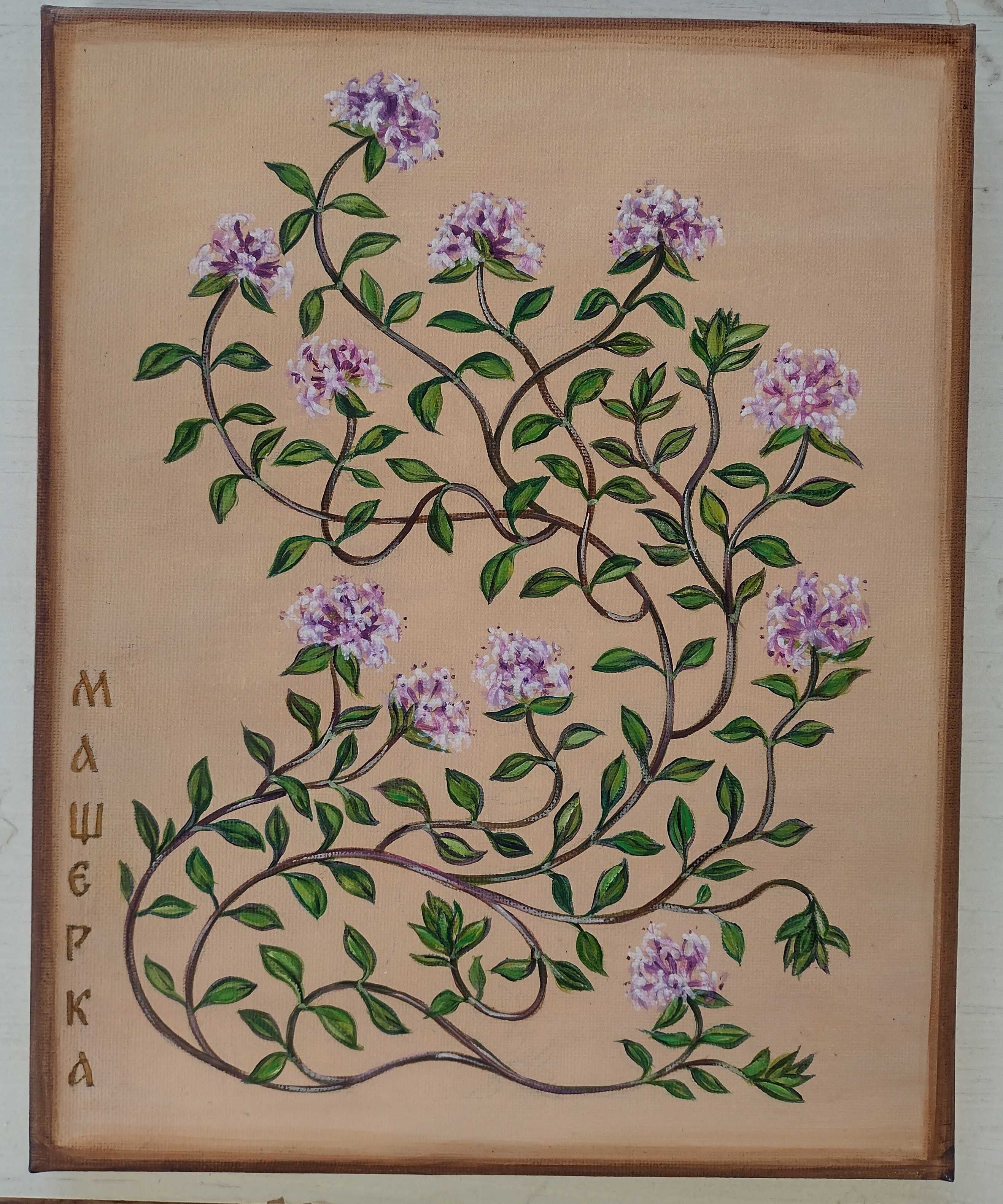 Картини с плодове,кулинарни билки,подправки и цветя.45 лв.