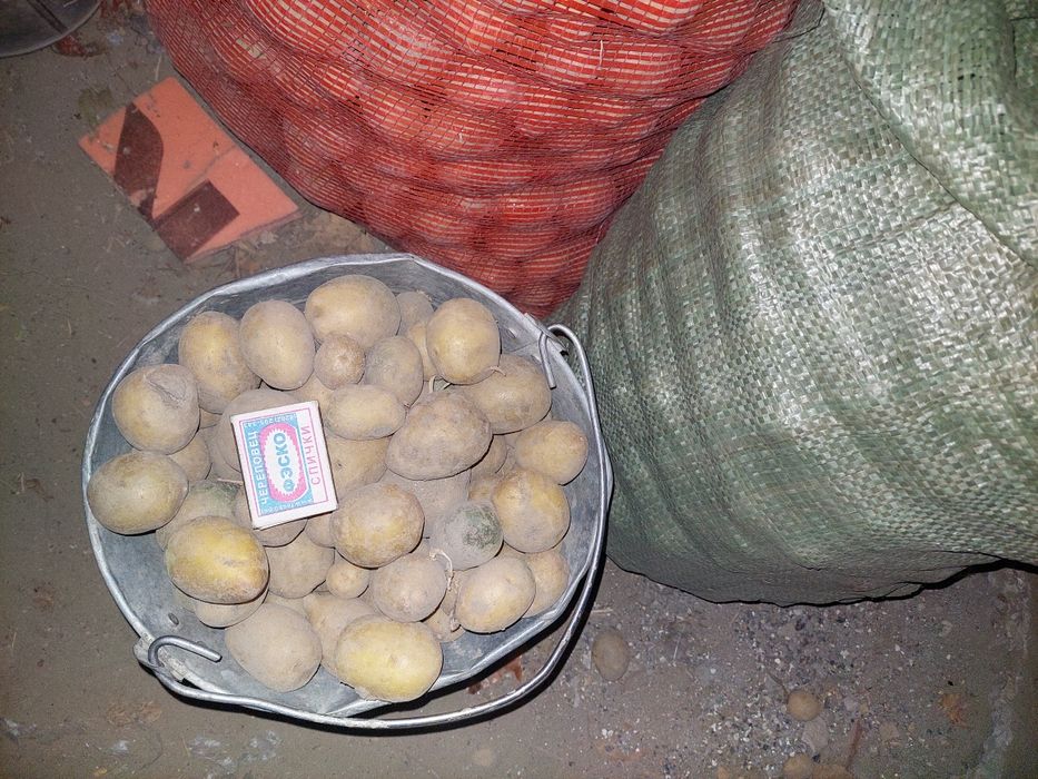 Картошка мелкая продам