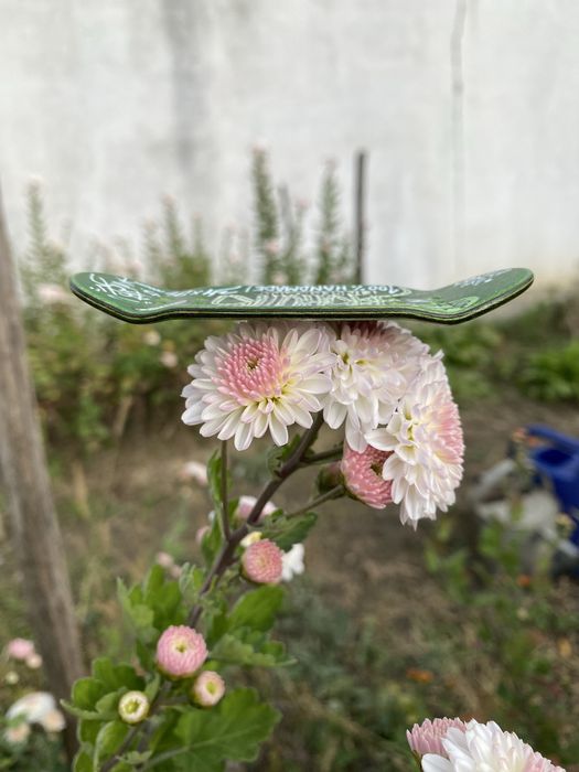 Placa de fingerboard