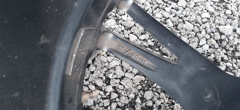 Jenti pe 19 set 4 bucati