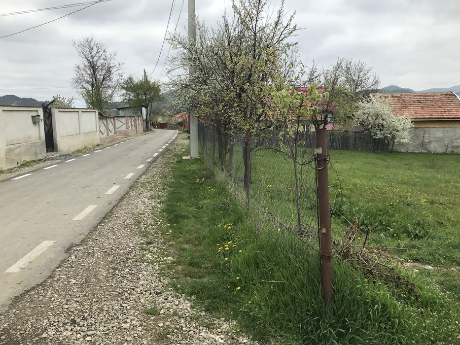 Vand trren Satuc, Berca