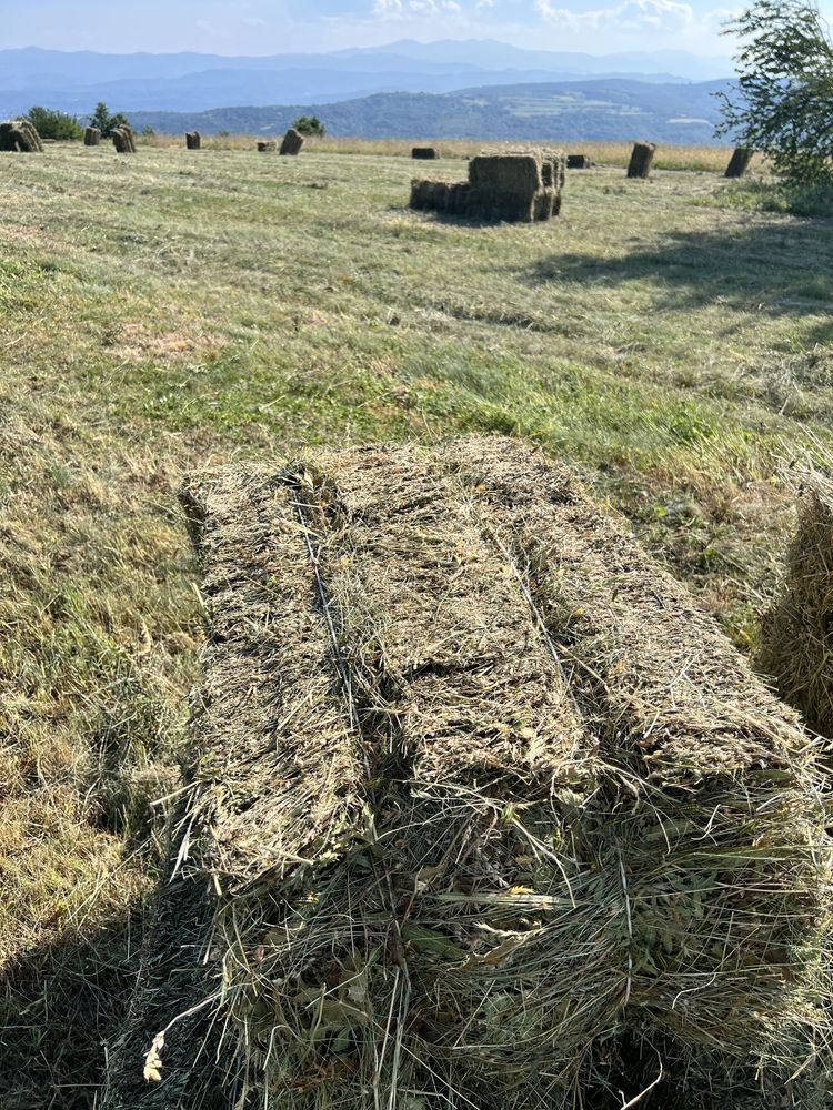 Бали ливадно сено! Взимане директно от блока!
