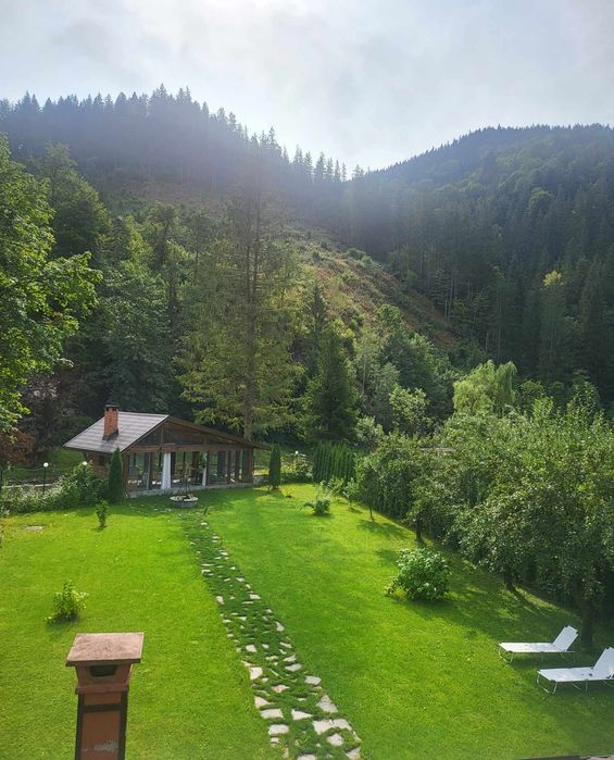 Piatra naturală de munte decorativa, piatra concasata