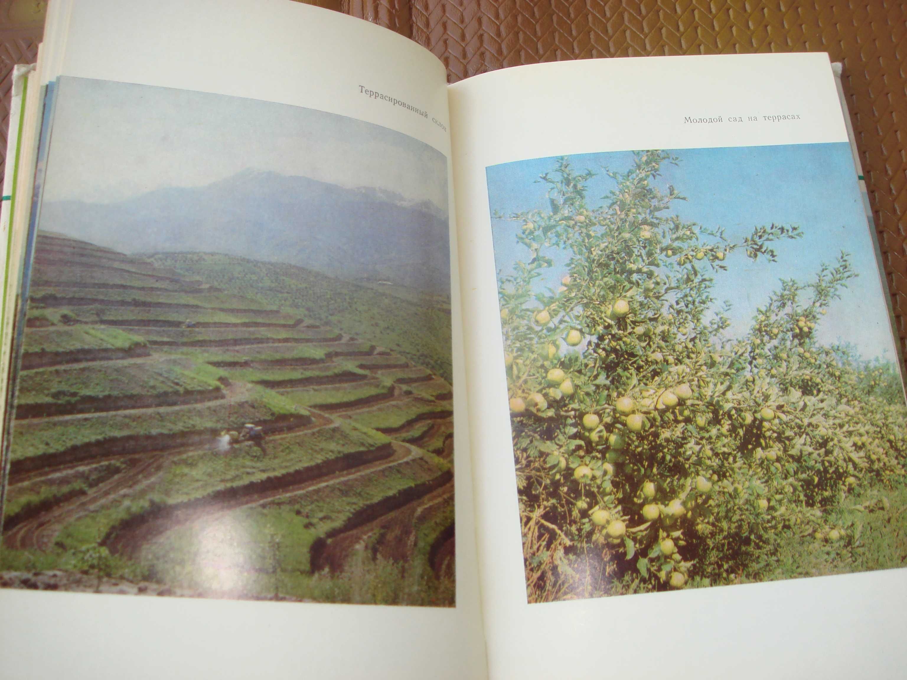 Книги Цветы 1964 года и Сады на Террасах 1983 Алма-Ата