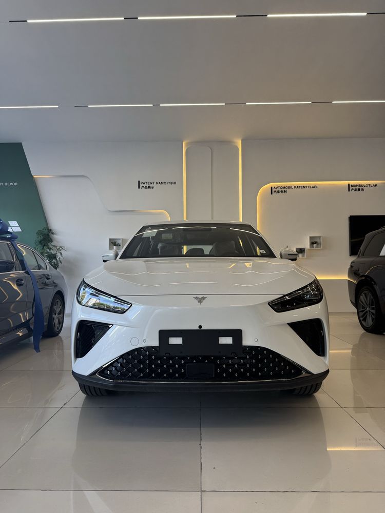 Neta L hybrid full 3 yil kafolat