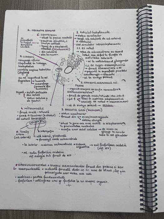 Notite pentru medicina biologie