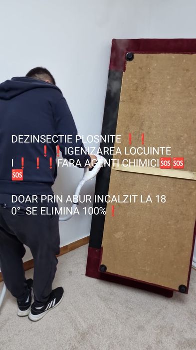 Ofer servicii  de igenizare impotriva  ploșnițe (cu abur ) !