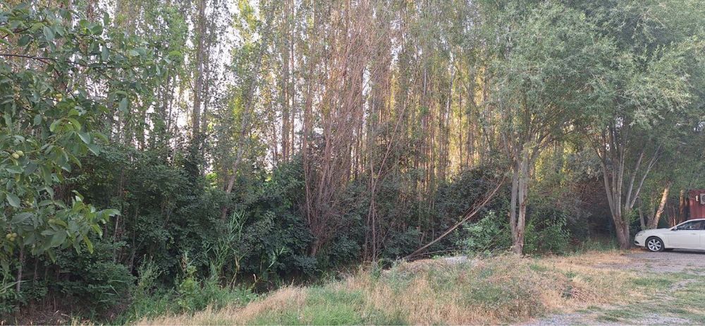 Toshkent shaxar Mirobod max nur kuchasida jami 40.08 yer maydoni