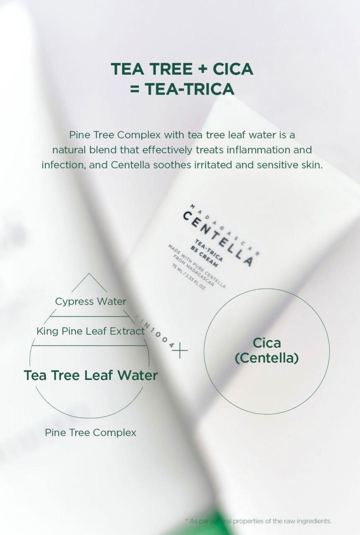 Skin 1004 Tea-Trica