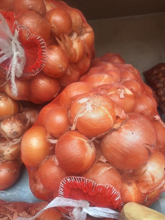 Kechki piyoz qishga sqlasa boladi