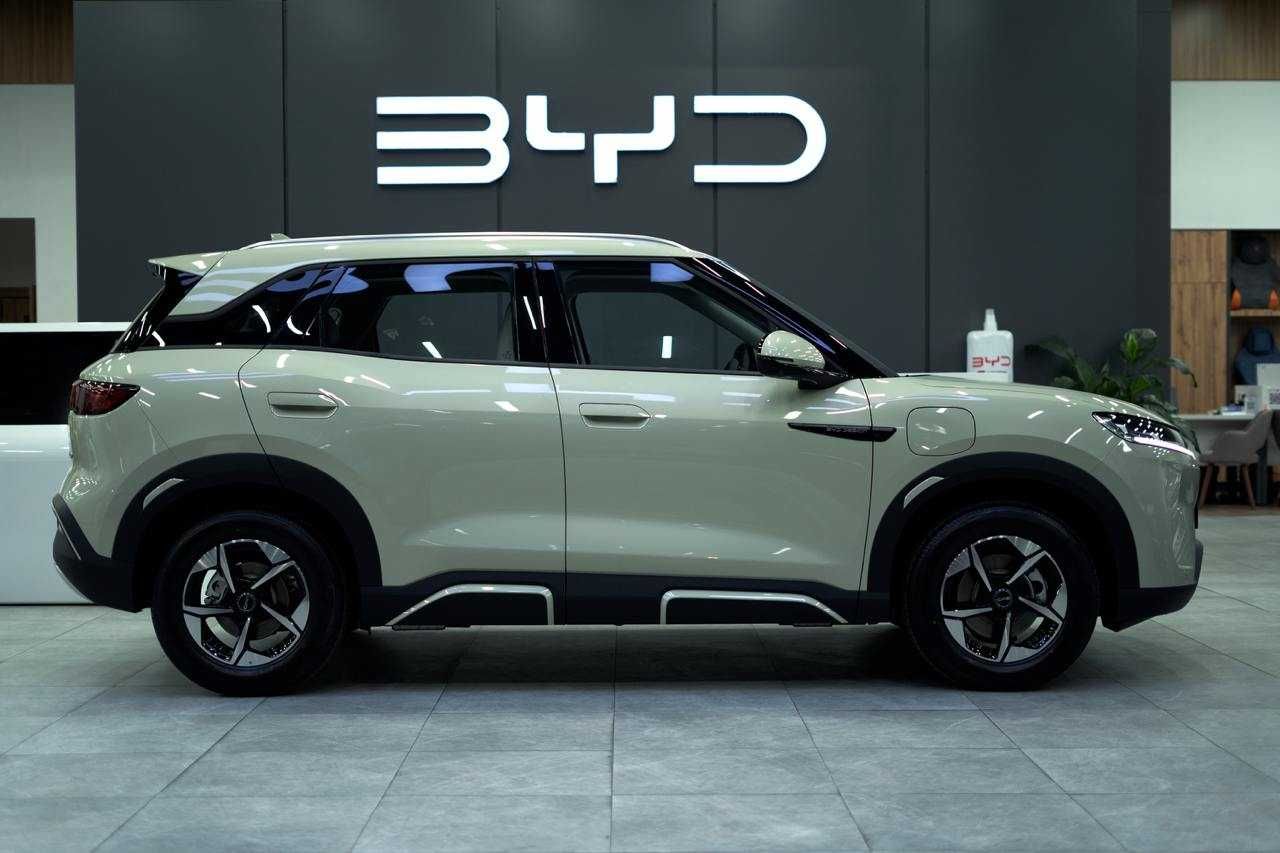 BYD YUAN UP 401km Flagship