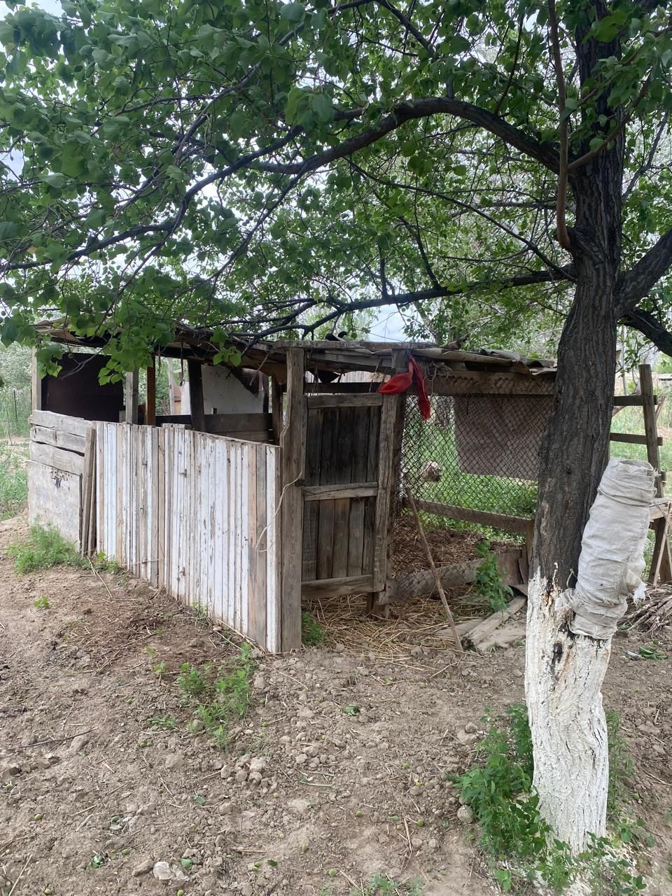 Срочно продаётся 2 дачи