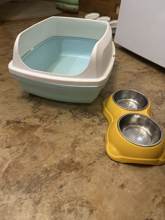 Лоток+миска для кота