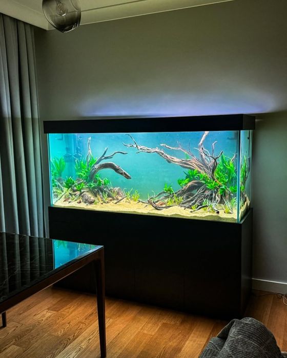 Мебель с аквариумом