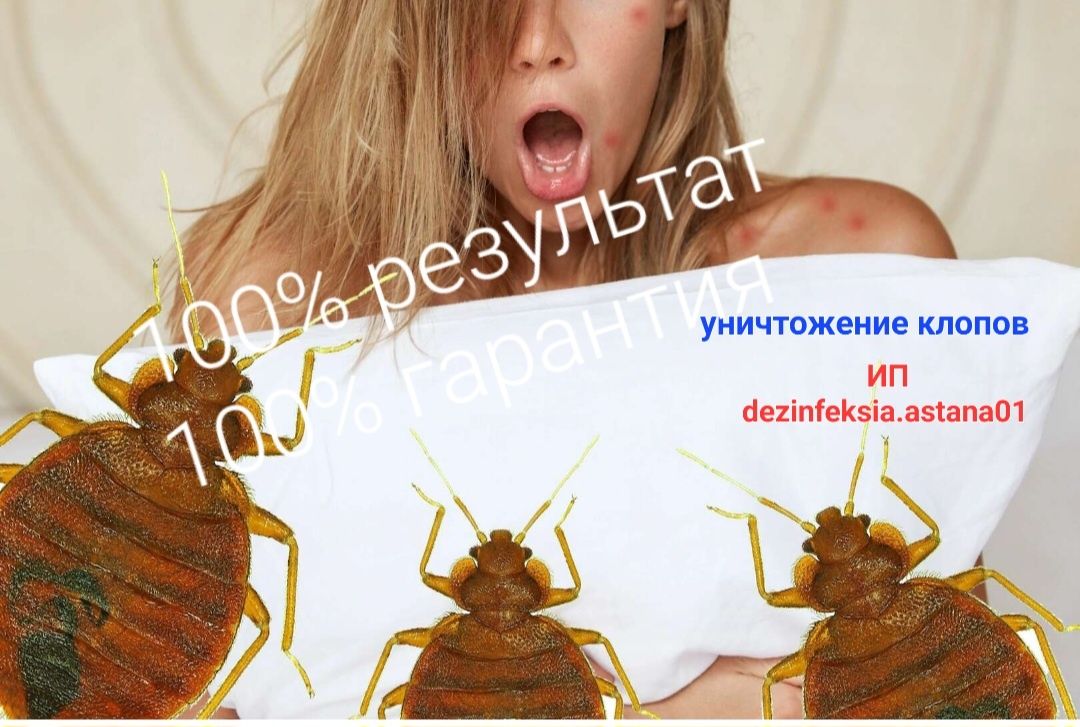 Уничтожение клопов и тараканов