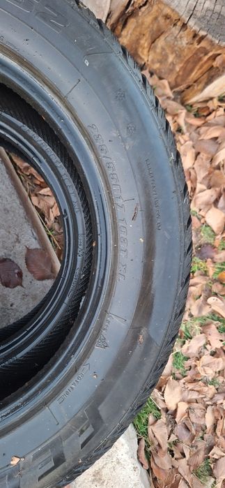 Зимние буу балоны 20 тысяч