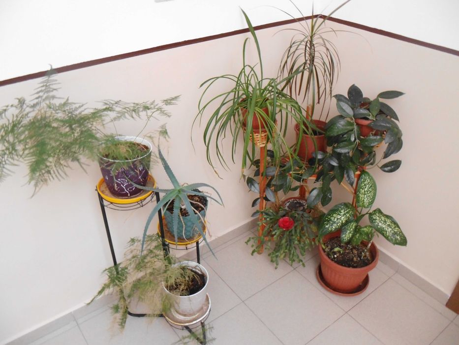 фотоапарат MAGINON Z1600 - 16.1 MPx