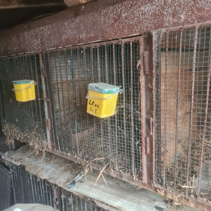 Cușcă iepuri 2 module