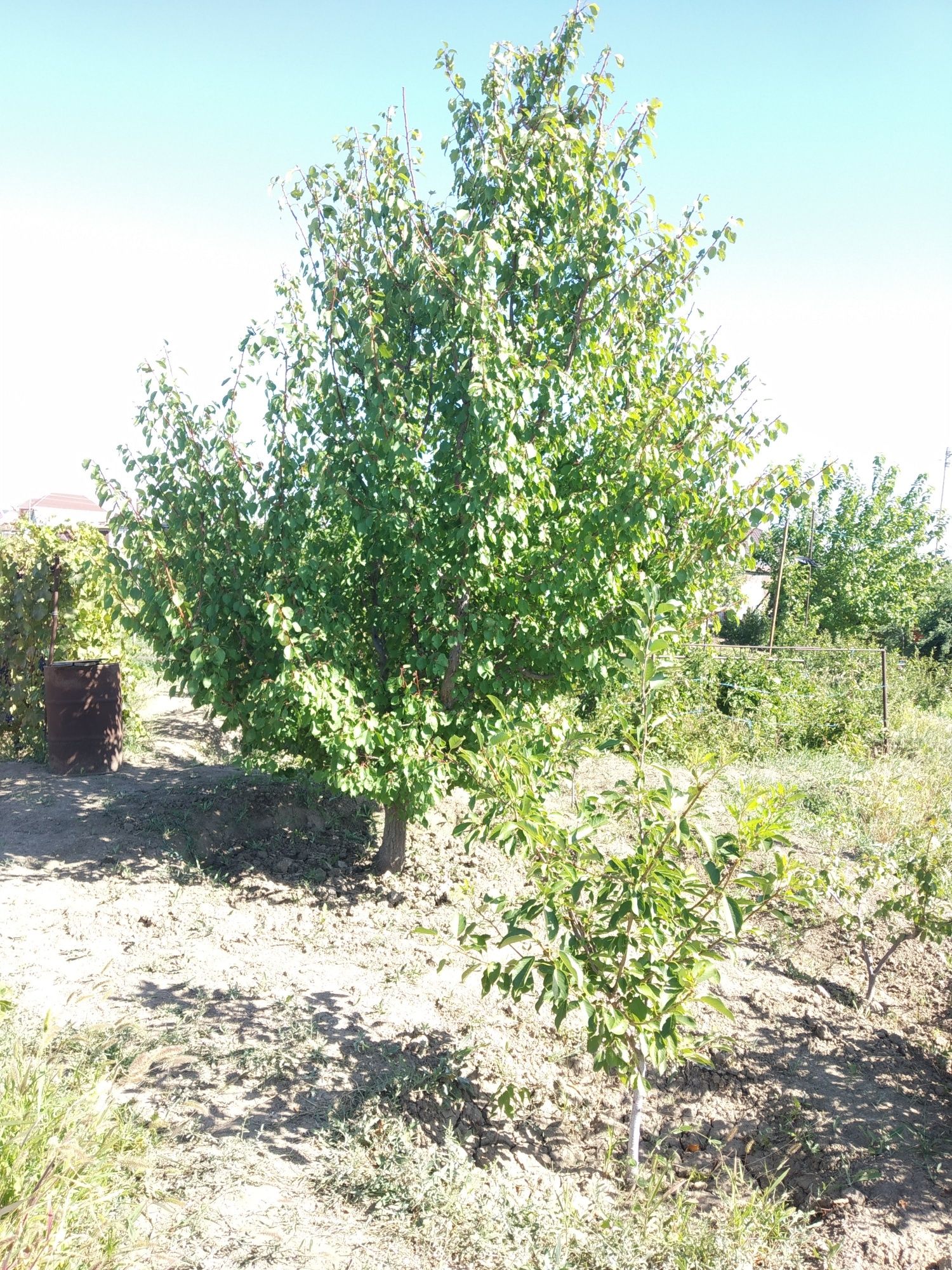 Продаётся дача 17,5 соток