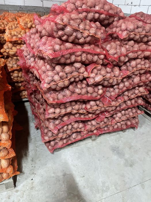 Cartofi consum in cantitate mare