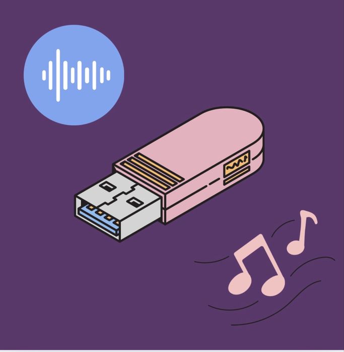 Правя флашки с песни 500 песни по избор