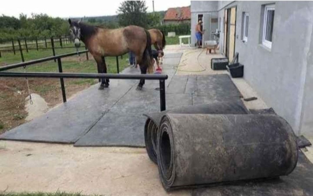 Vând banda covor pentru animale