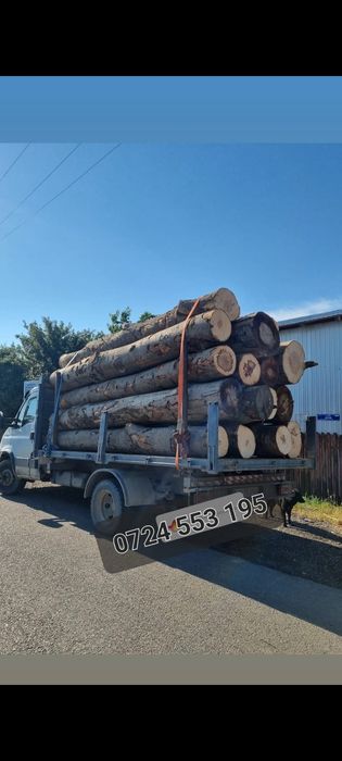 Busteni fag esenta tate deseuri laturoaie brad&molid