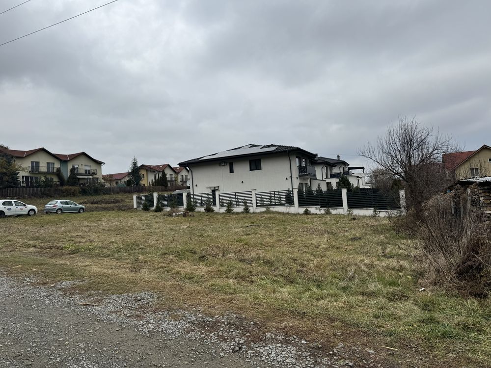 Servicii de Curățare / Defrișare terenuri cu tocător de vegetație