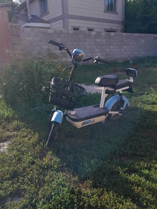 Електро велик сатылат