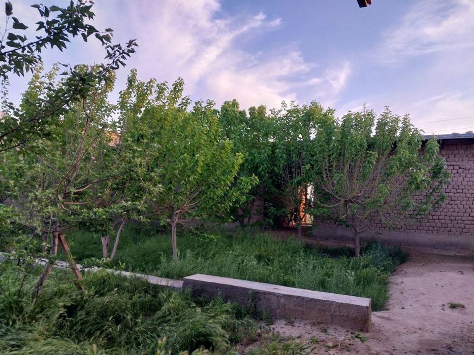 Hovli sotiladi Yangibog