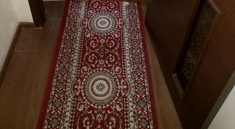Sag Gilami yaxshi tutilgan akuratni turibdi