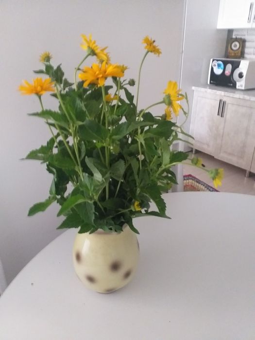 Продам благоустроенный коттедж