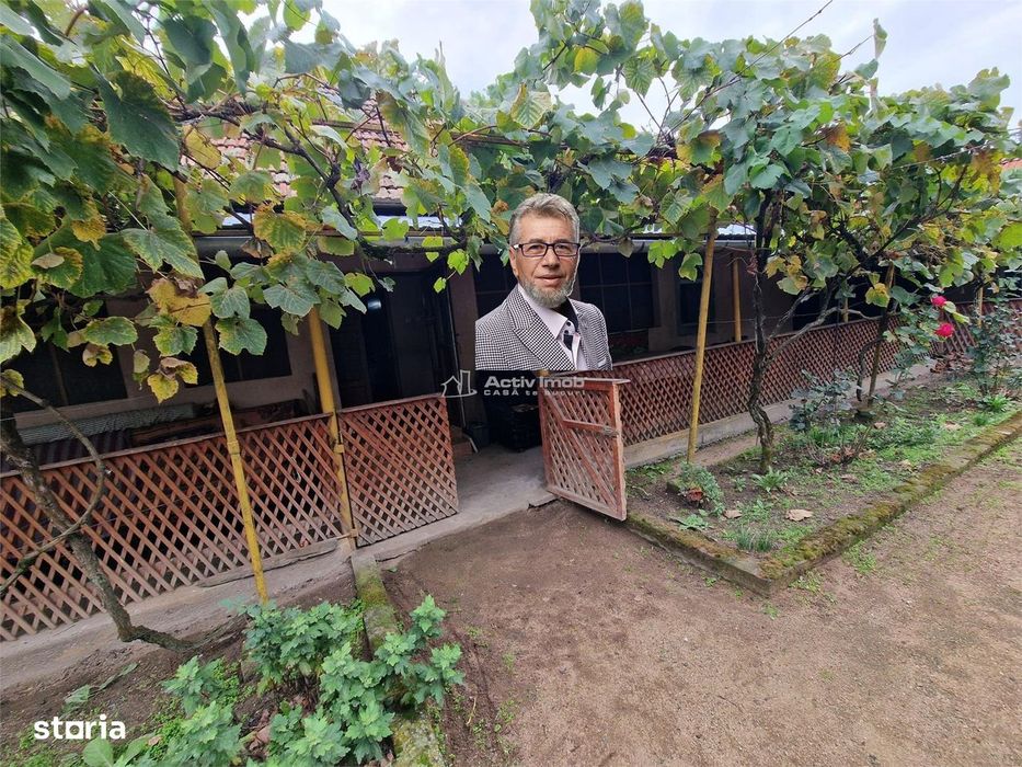 Sosdea 2 Case cu Teren 4657 Mp.