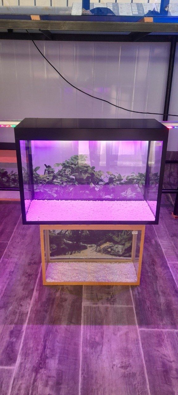 Продаются аквариум новый Akvarium yangi