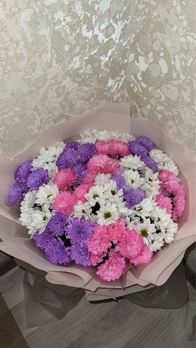 Гул арзан бағада