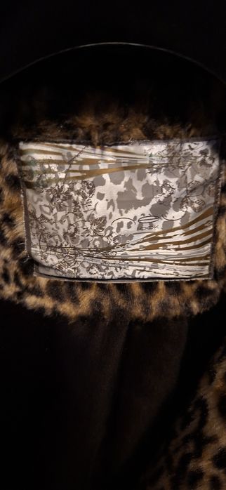 Palton leopard stare 10/10