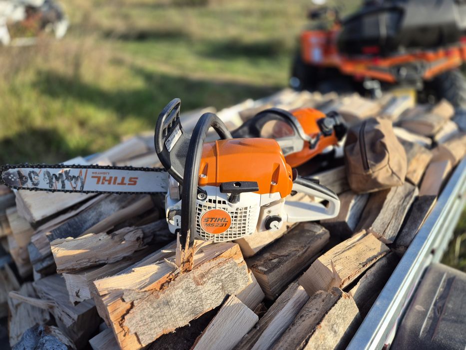 Drujba Stihl ms 231