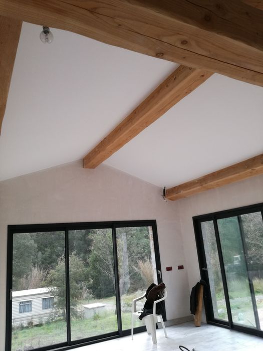 Servicii in constructii