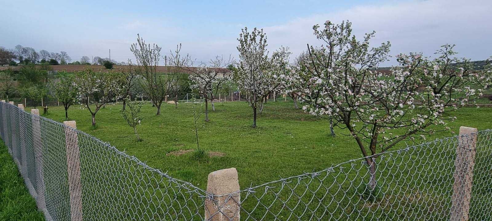 парцел в с. Мерданя в регулация