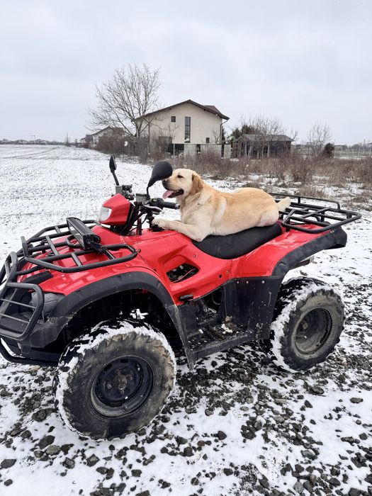 Vand atv TGB 550 , cauciucurii noi, troliu , revizie , curea