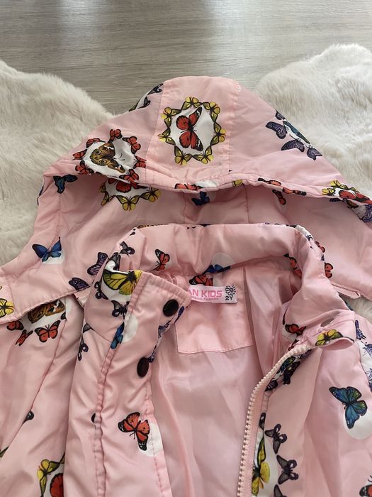 Пролетно яке за 2 години