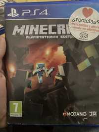 Minecraft edition