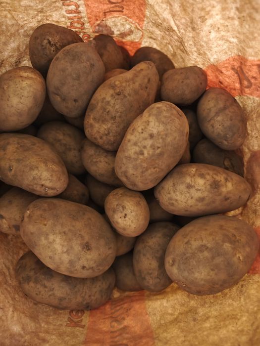 Vând cartofi de consum, calitate foarte bună ideali pentru aproviziona