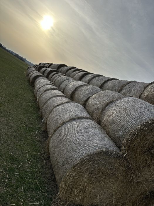 Baloti de paie.