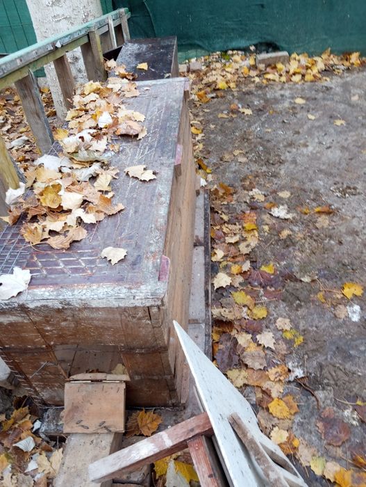 Валер из сундука продается срочно