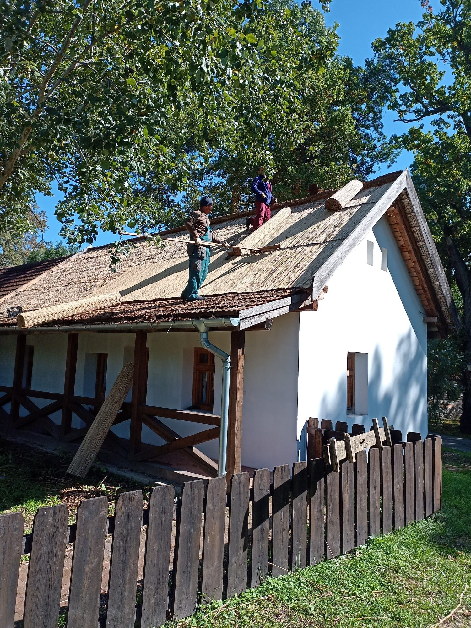 Placi /panouri din stuf pentru termoizolatii/acoperis