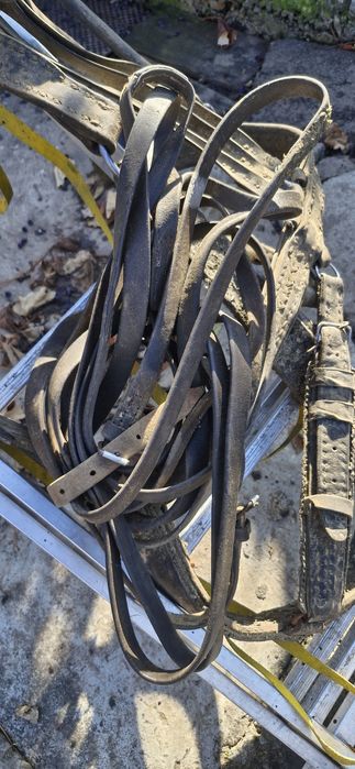 plug, grapa, marcator, prasitoare pentru cal