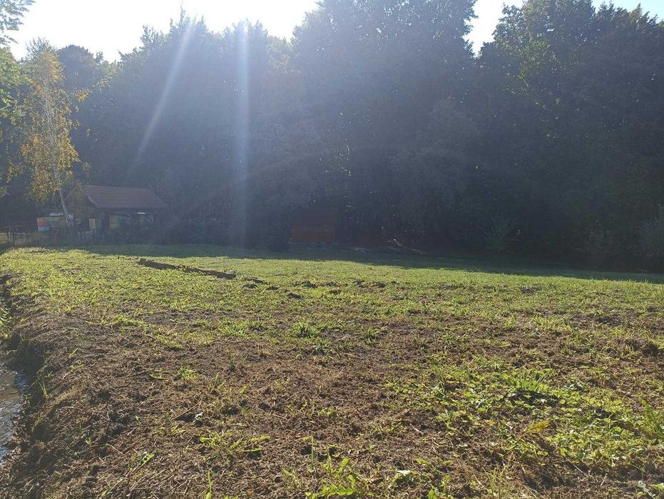 Teren intravilan de vanzare in Faget ULid 1876 mp