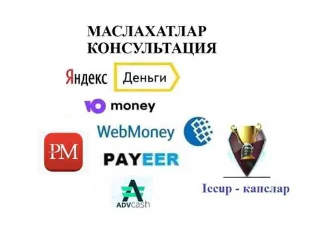Профессионал маслахатлар Webmoney, Консультация по оплаты и переводам