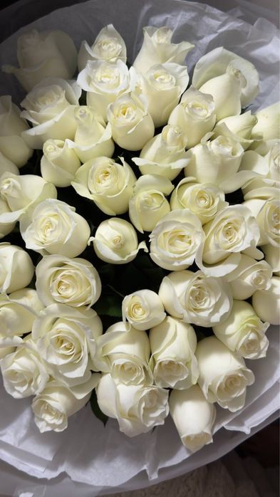 Свежий букет роз